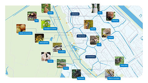 Kaart van Maarssenbroek waarop het wijkpark te zien is. Met oranje stippen zijn de plekken van de dieren of planten gemarkeerd. Van noord naar zuid is de volgorde: reiger, mol, hazelaars en bramen, muis, vlinder en bessentuin, vleermuis, specht, wilde bijenkast, buizerd, egel, schildpad, zwaan, snoek, wilde eend, muskusrat, kikker en springbak. Bij elk dier of plant staat een kleine foto van wat het is.